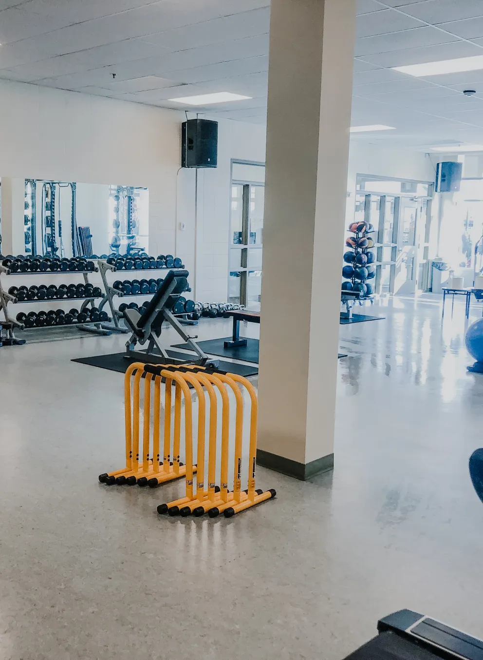 A sun-filled room with loads of fitness equiptment, including barbells, dumbbels, excersie balls, treadminds and more.